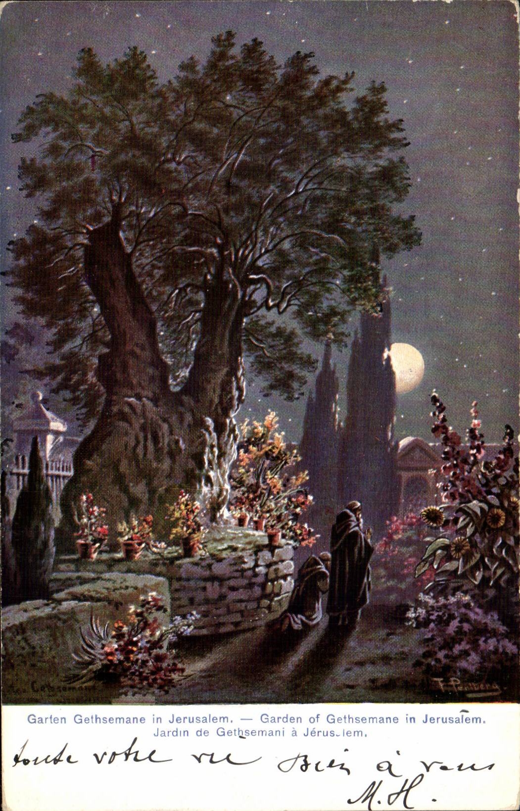 Israel - Jerusalem - Garden off Gethsemane - Garden of Gethsemani - CPA