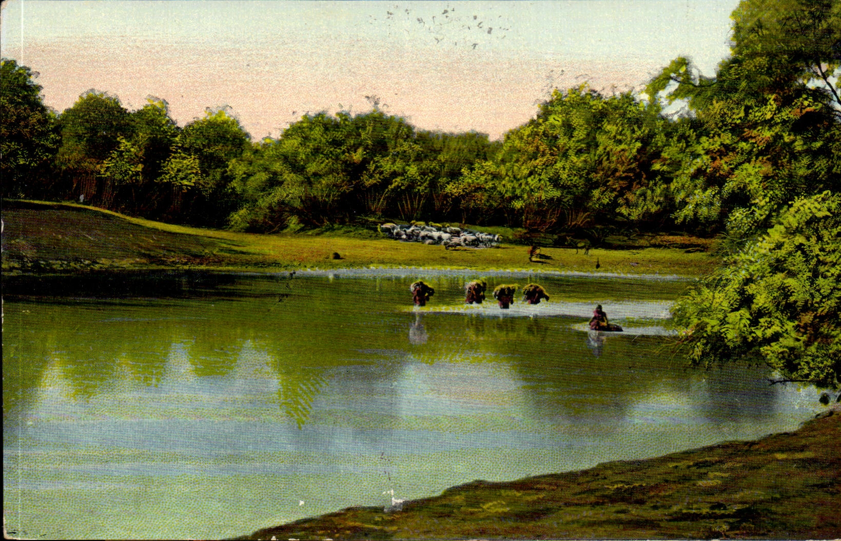 Israel - Jerusalem - The Ford off To rivet Jordan - Shepherds passing has ford their herds - CPA