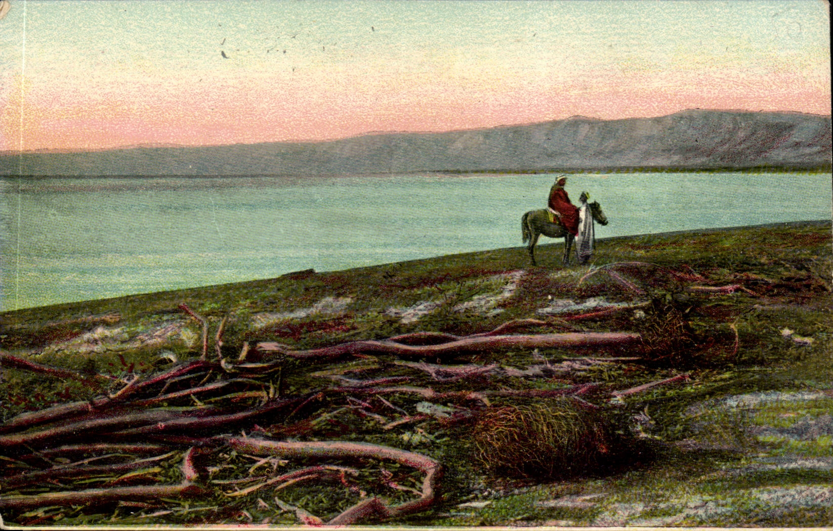 Israel - The Dead Sea - Dead Sea - Todes Meer - Horse - Horse - CPA