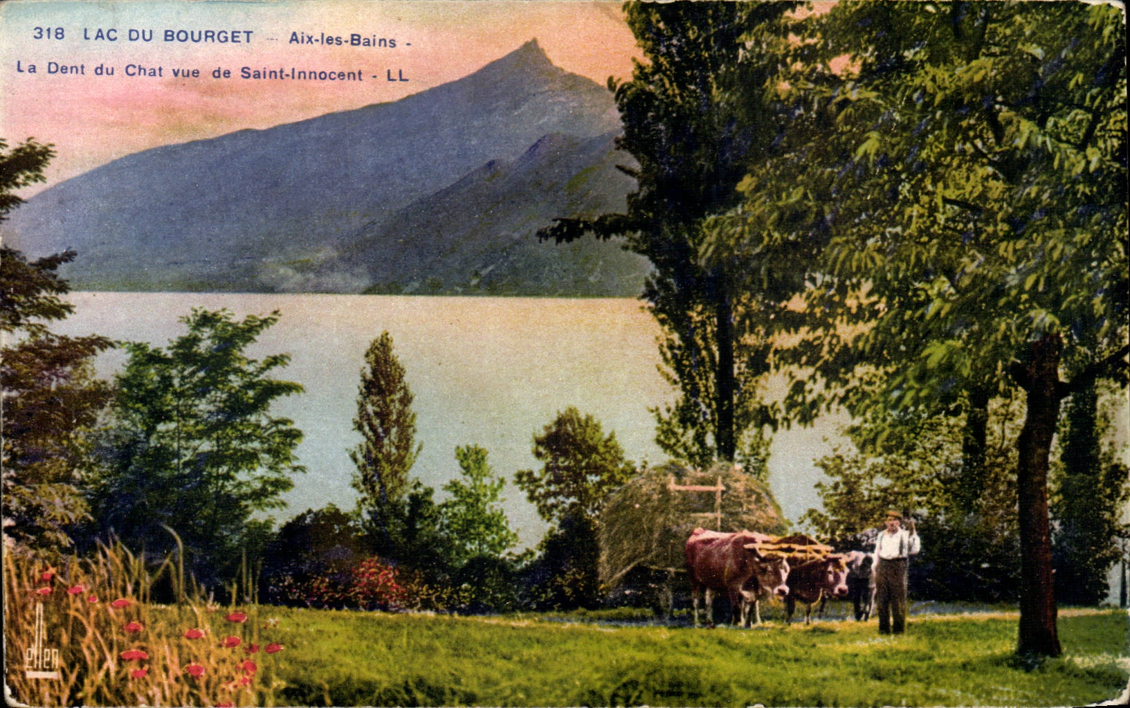 Aix les Bains - Lake of Le Bourget - Tooth of the Cat seen of Saint Innocent - CPA (ox coach)