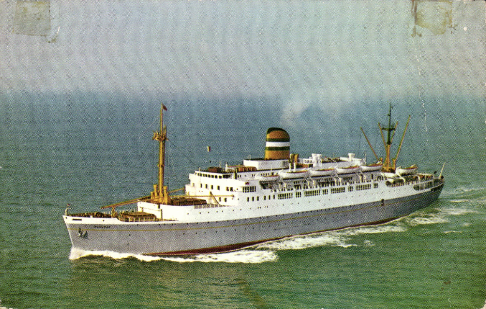 CPA Holland America Line S Maasdam (steamer)