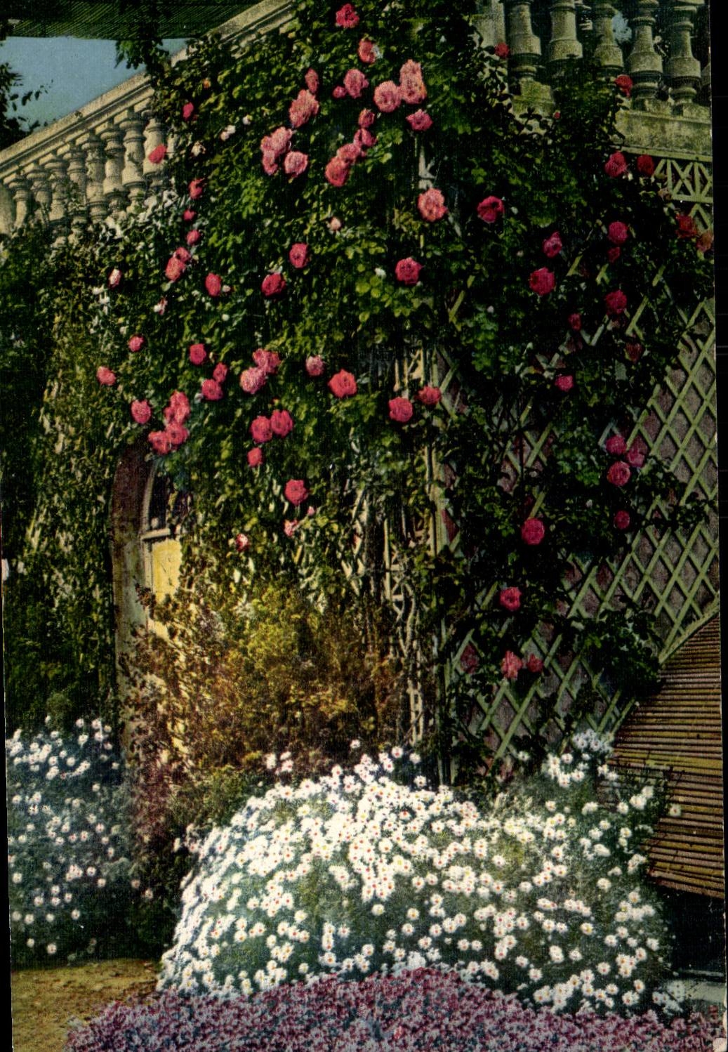 Das Mass des Azurblaus - Ecke bluhte CPA