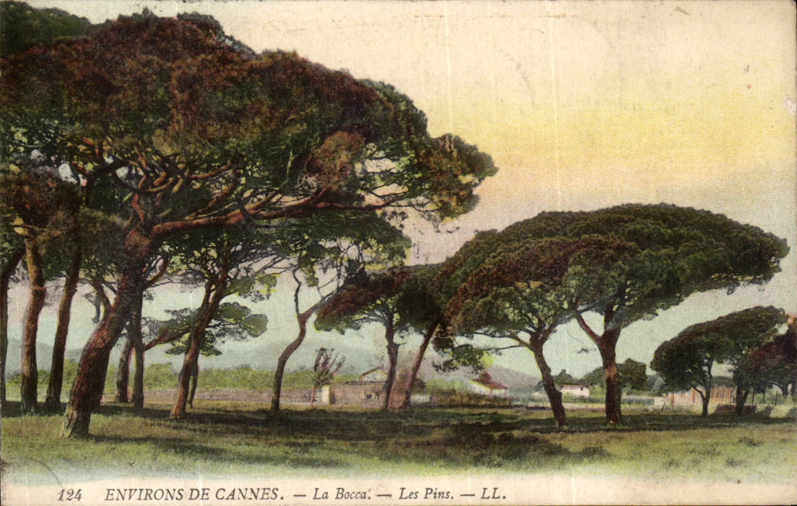 Surroundings of Cannes - Bocca - Pines CPA