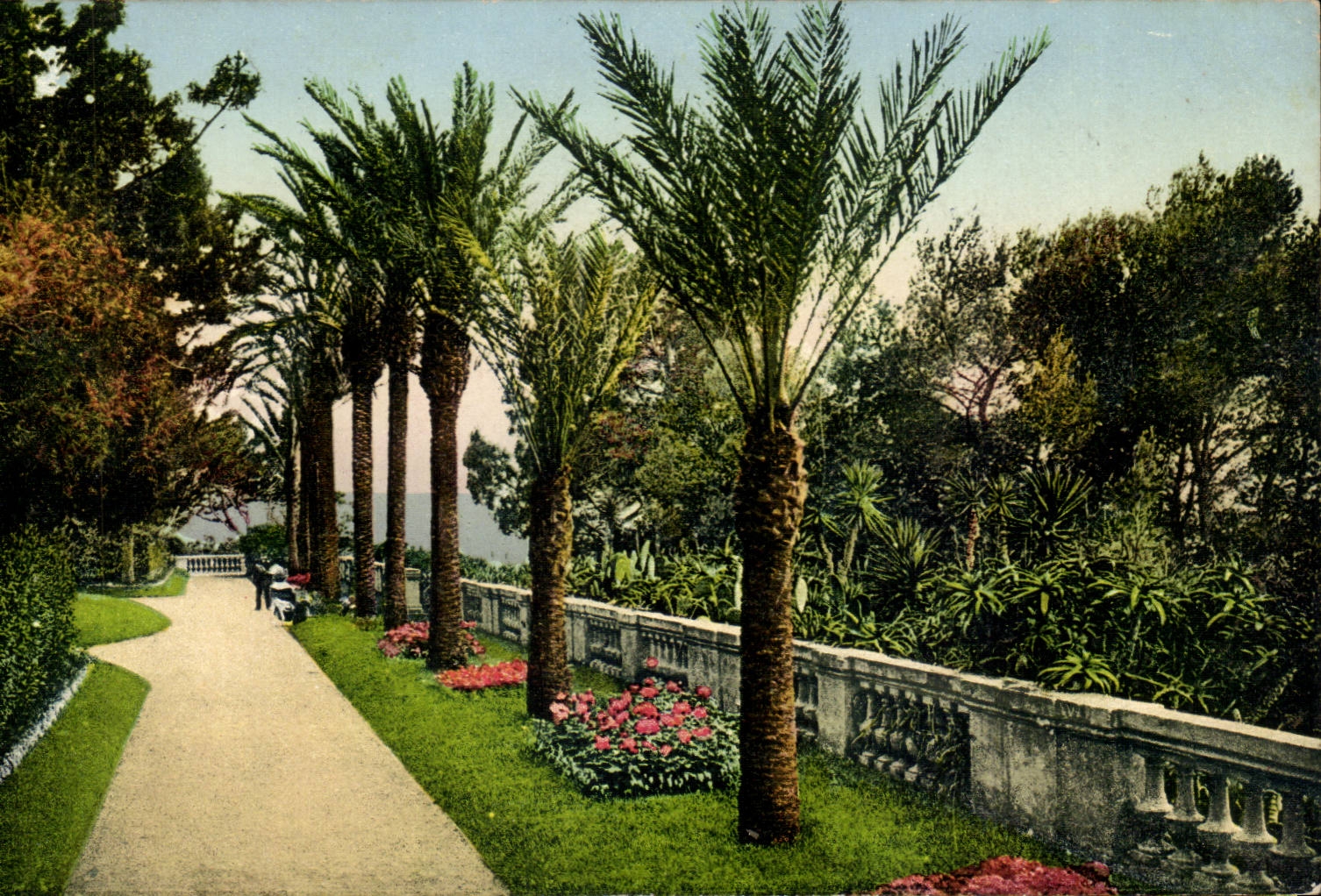 The Dimension of Azure - Cape d' Antibes - Eilenroe Villa - Allee of Palm trees - CPA