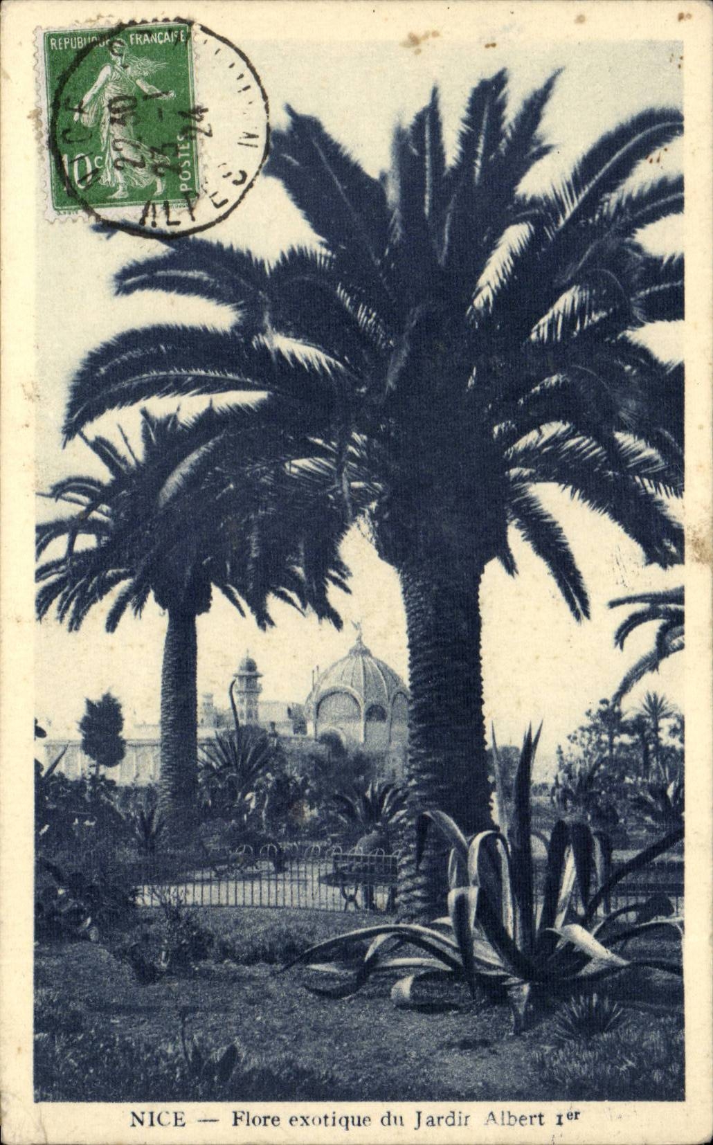 Nettes - exotische Flora des Garden Albert 1 - CPA