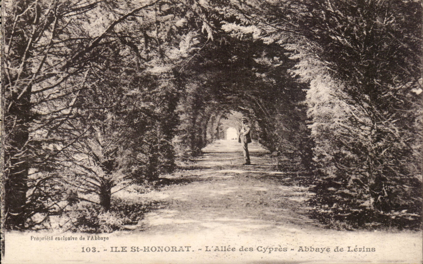 Insel-Str Honorat - Allee der Zypressen - Abtei von Lerins - CPA