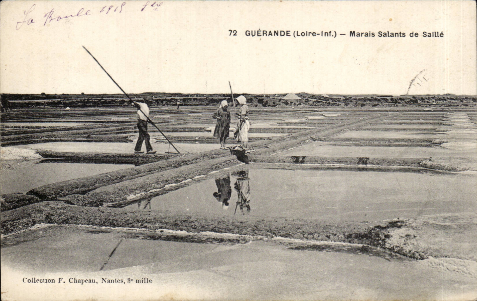 Guerande CPA saline Marais of Covers