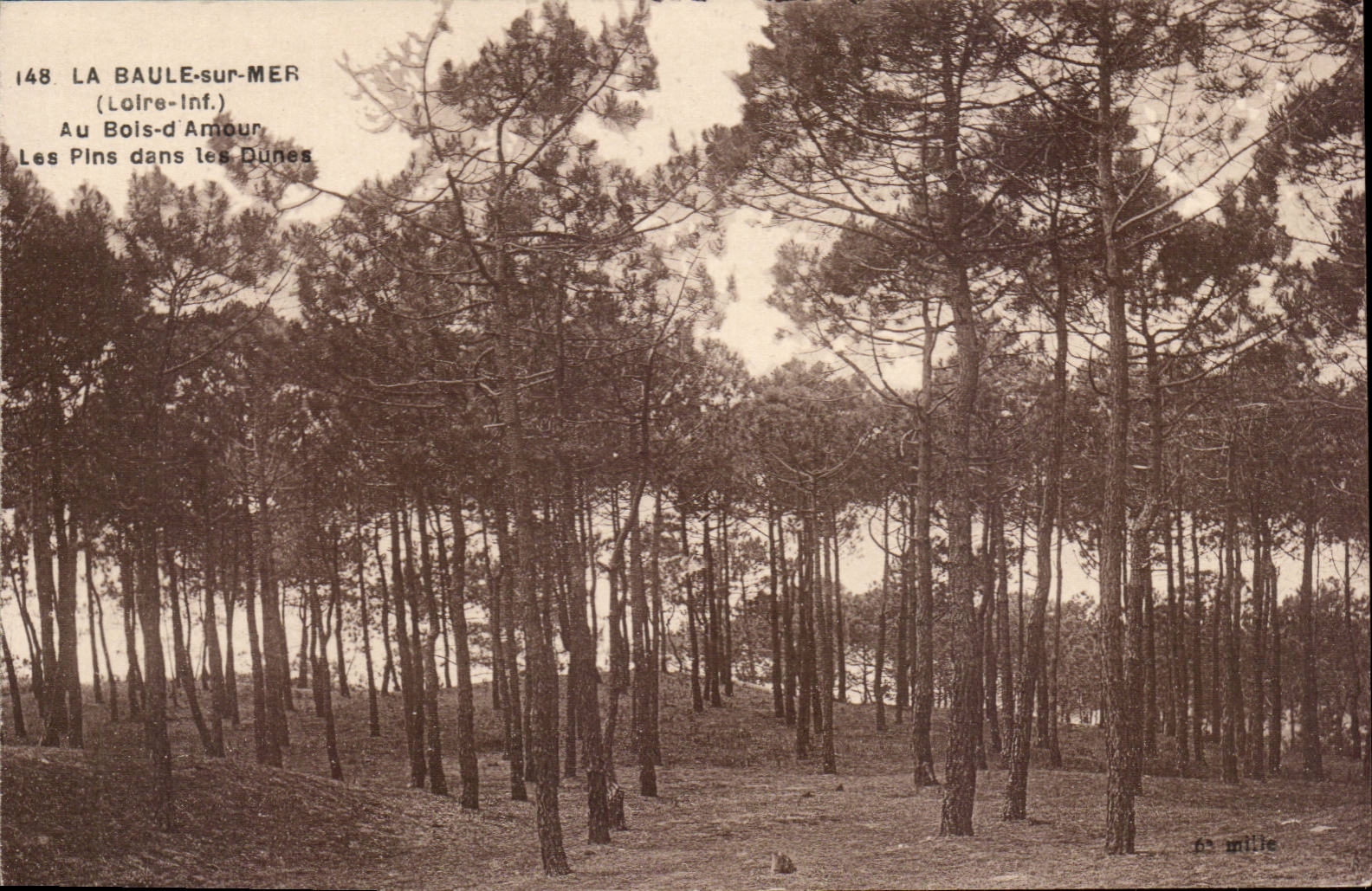 La Baule CPA mit dem Holz der Liebeskiefern in den Dunen