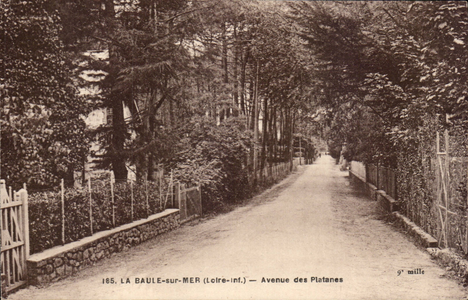 La Baule CPA Which occurred of the plane trees