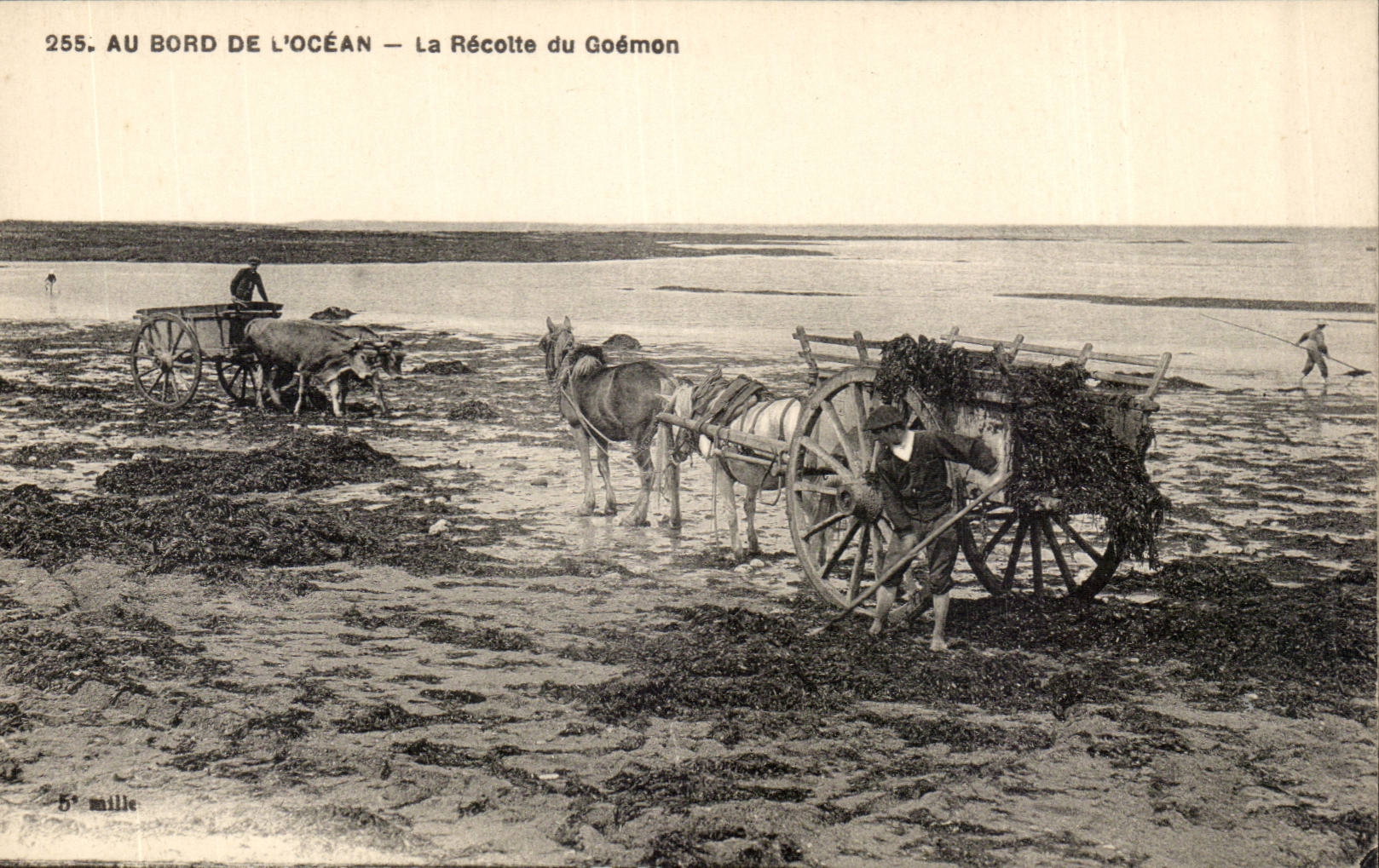 At the edge of ocean CPA goemon TOP verifies It