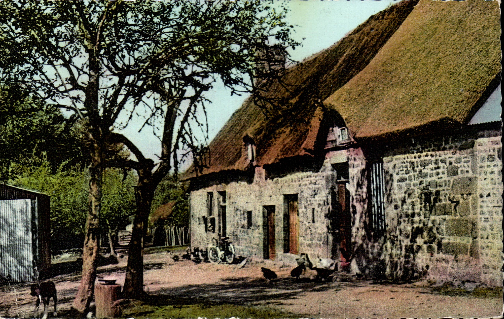 la Normandie CPM Cour de ferme