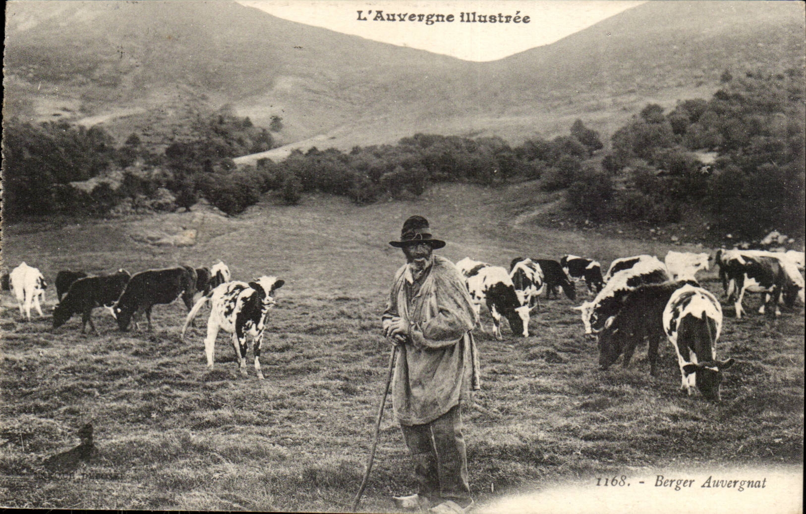 CPA Auvergne Auvergnat Shepherd (folklore caps costume cows)