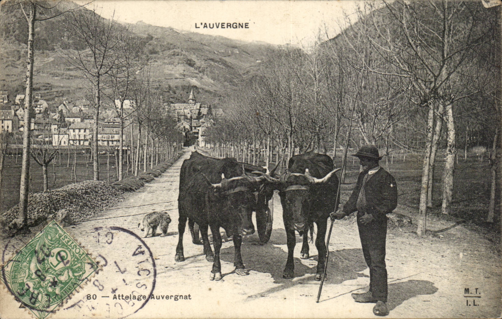Types of Auvergne CPA Coach Auvergnat (folklore costume oxen)