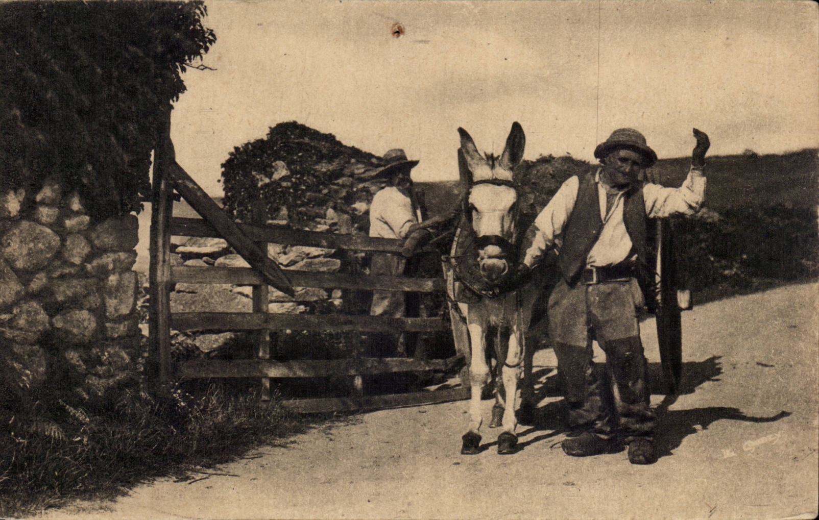 Auvergne CPA Encore a car No v have more than cha (folklore costume ass donkey)