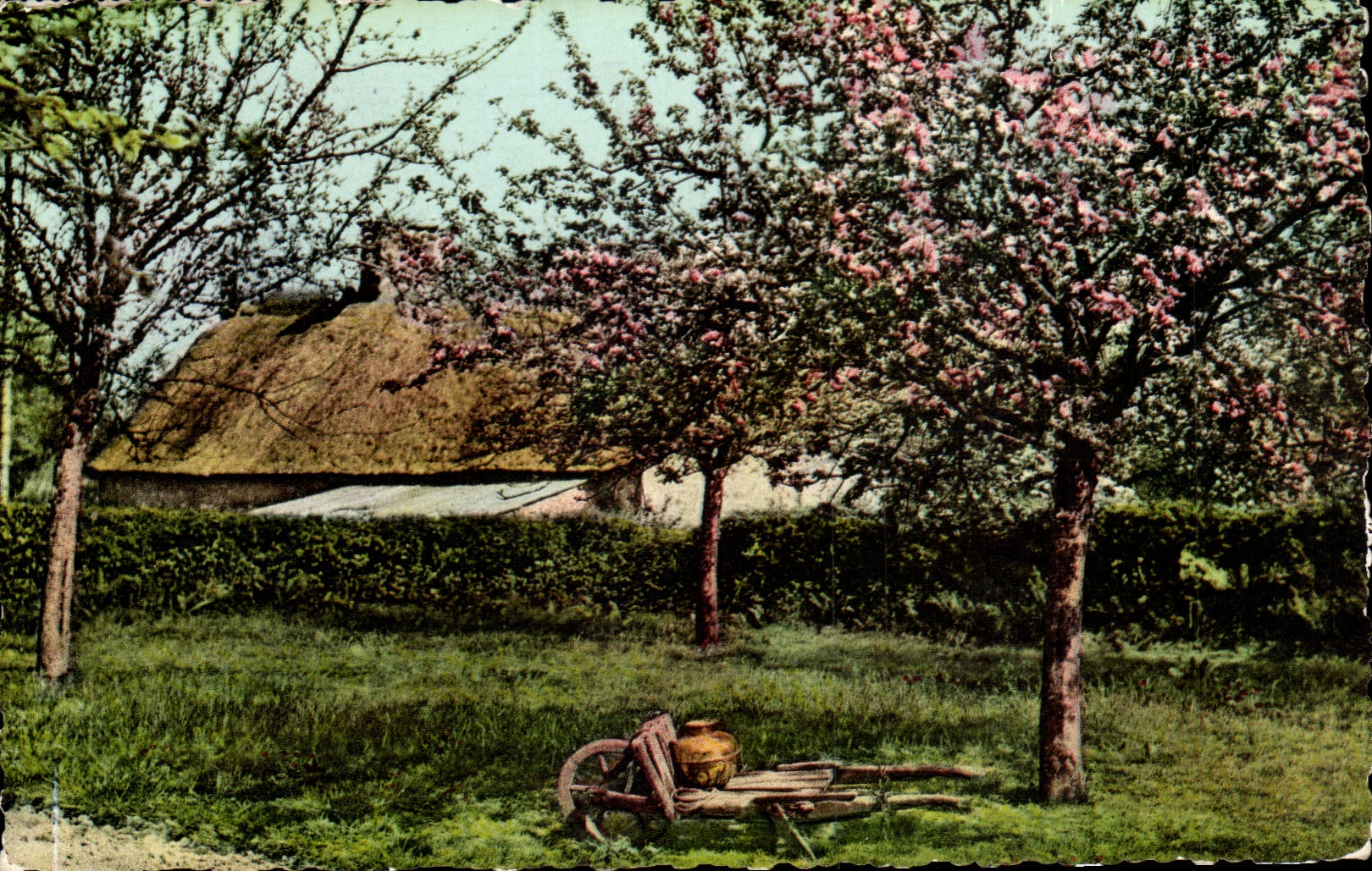 Picturesque Normandy MODERN CARD Under the apple trees