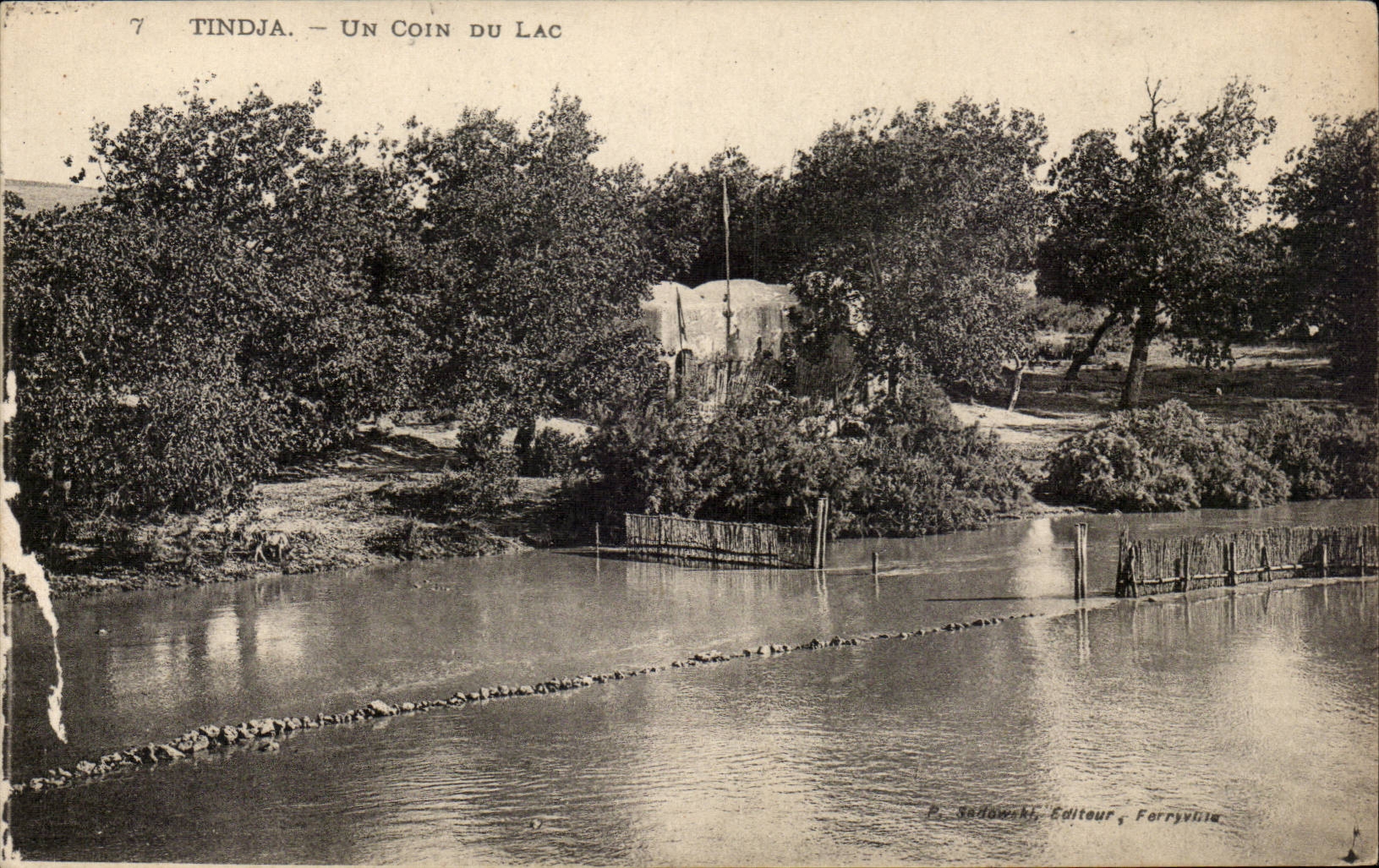 Tunisia CPA Tindja a corner of the park