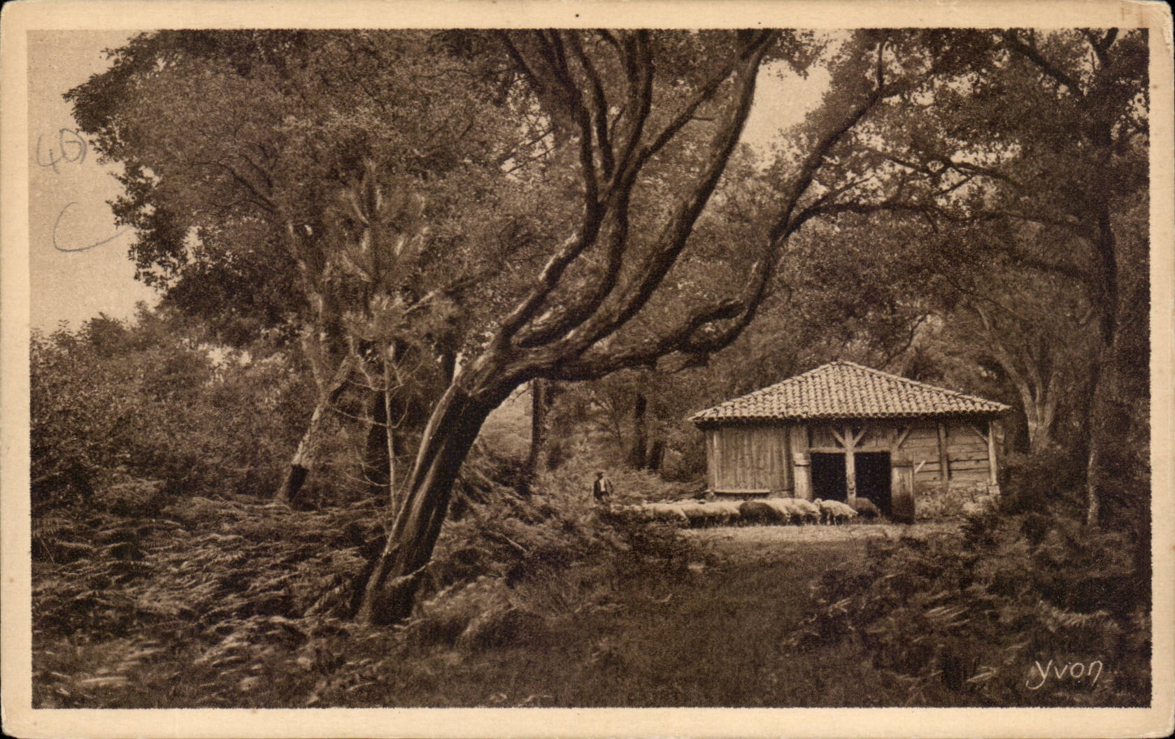 Moors CPA the return to the fold