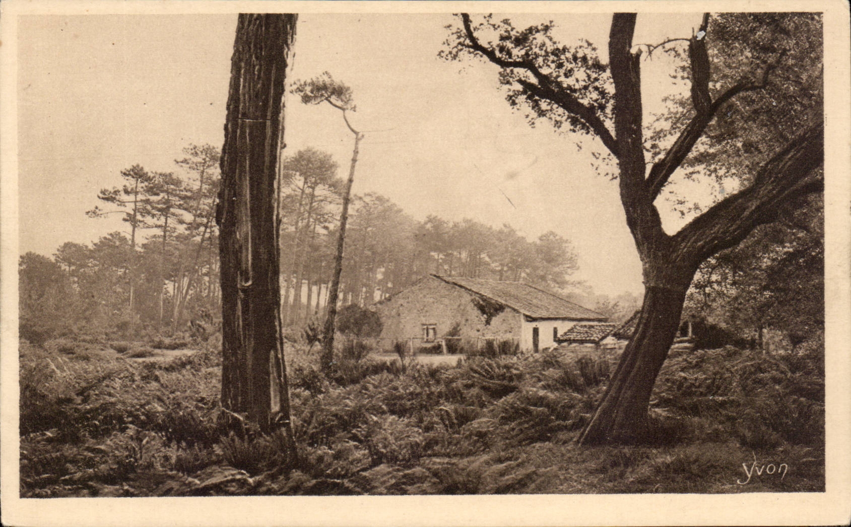 Moors CPA a farm in the Moors