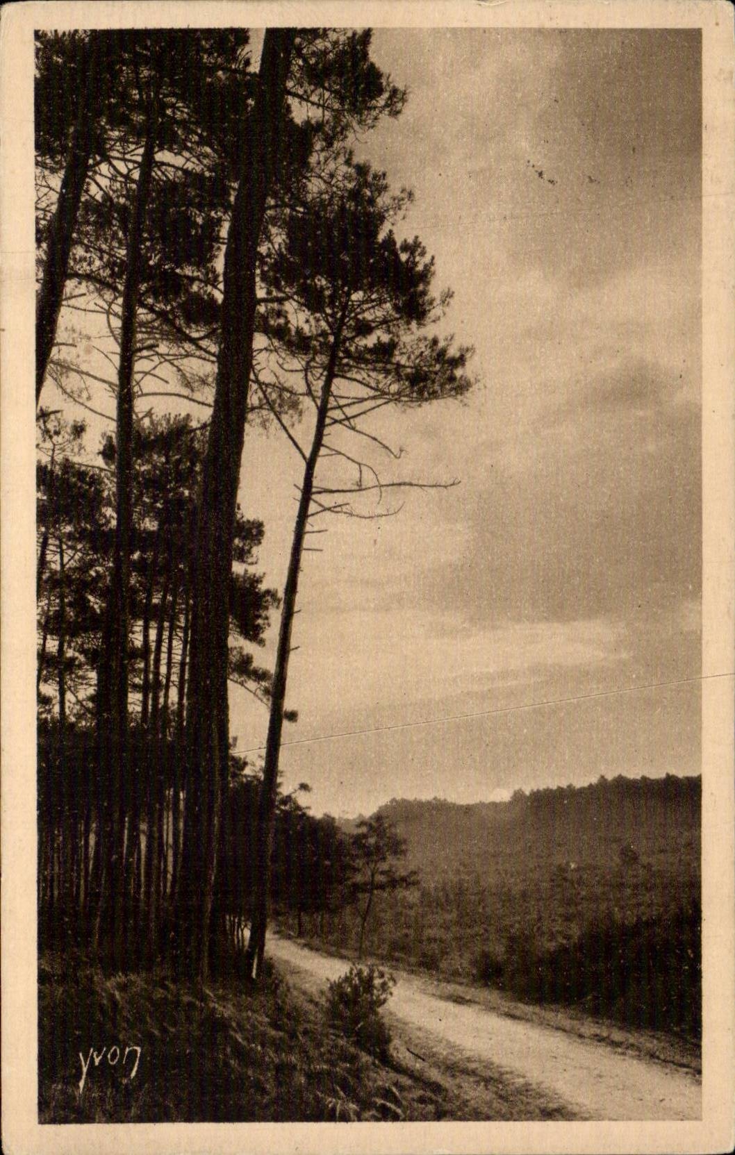 Moors of GAscogne CPA Sunrise out of drill