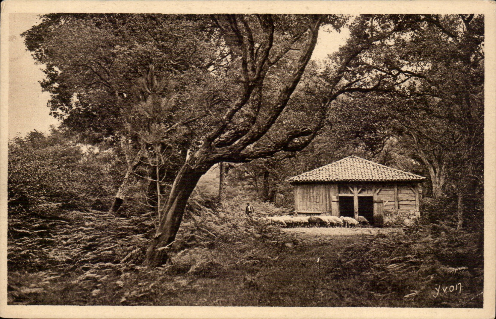 Moors of GAscogne CPA the return to the fold