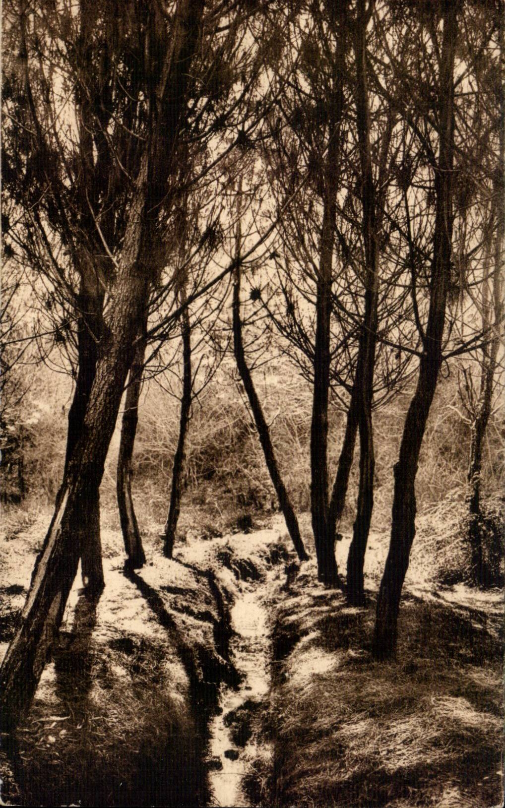 CPA In the Moors of Gascogne Coin of drill has Castels of the Moors