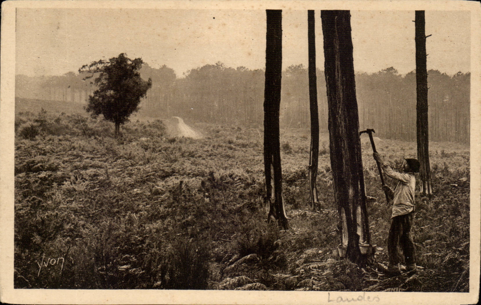 CPA Moors of Gascogne the resinier to work (trade)