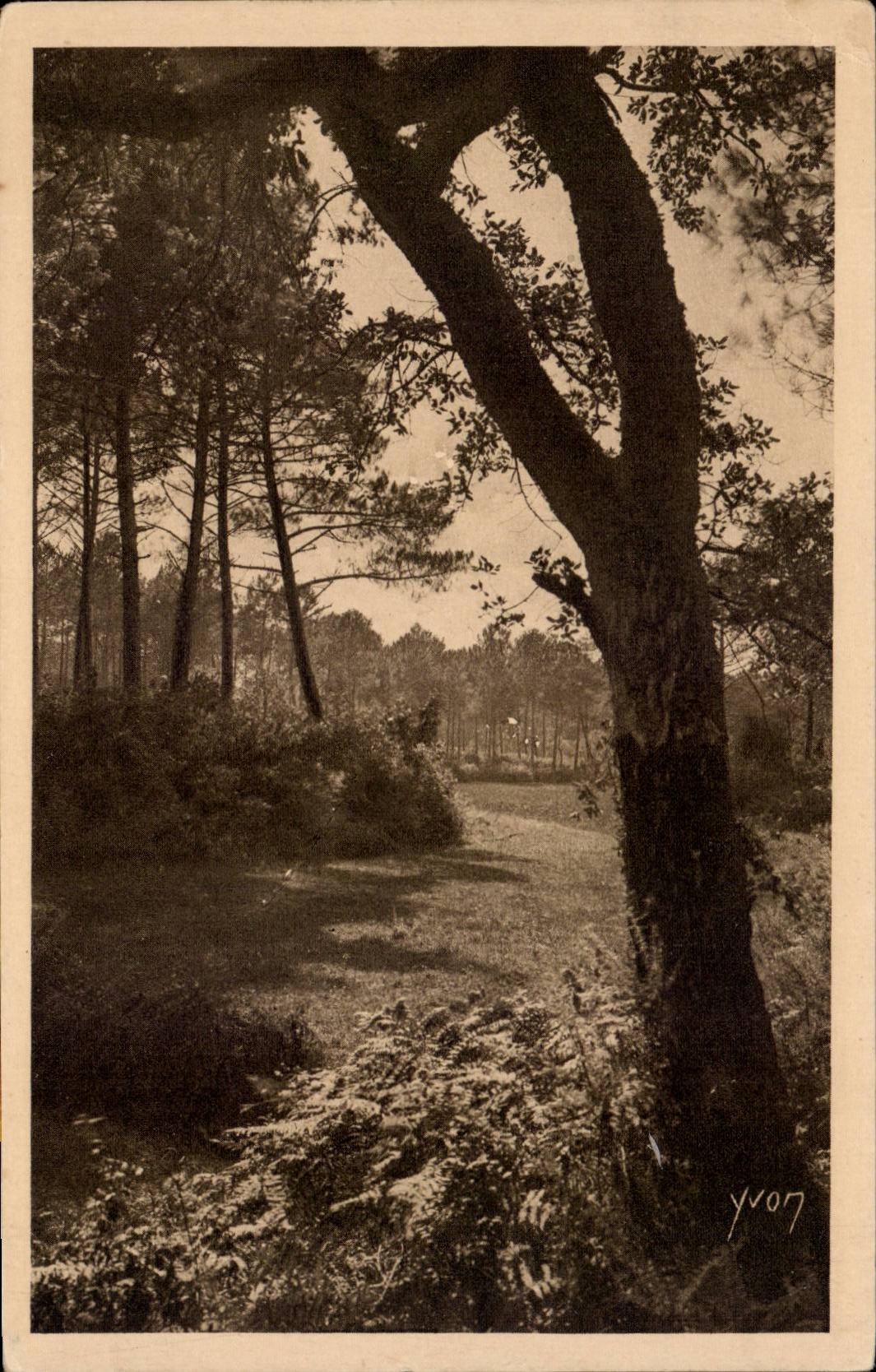 The Moors of Gascogne CPA Paysage landais