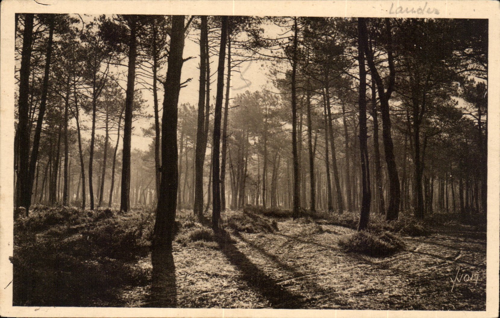 Moors of Gascogne CPA Last sun of summer first fog of autumn