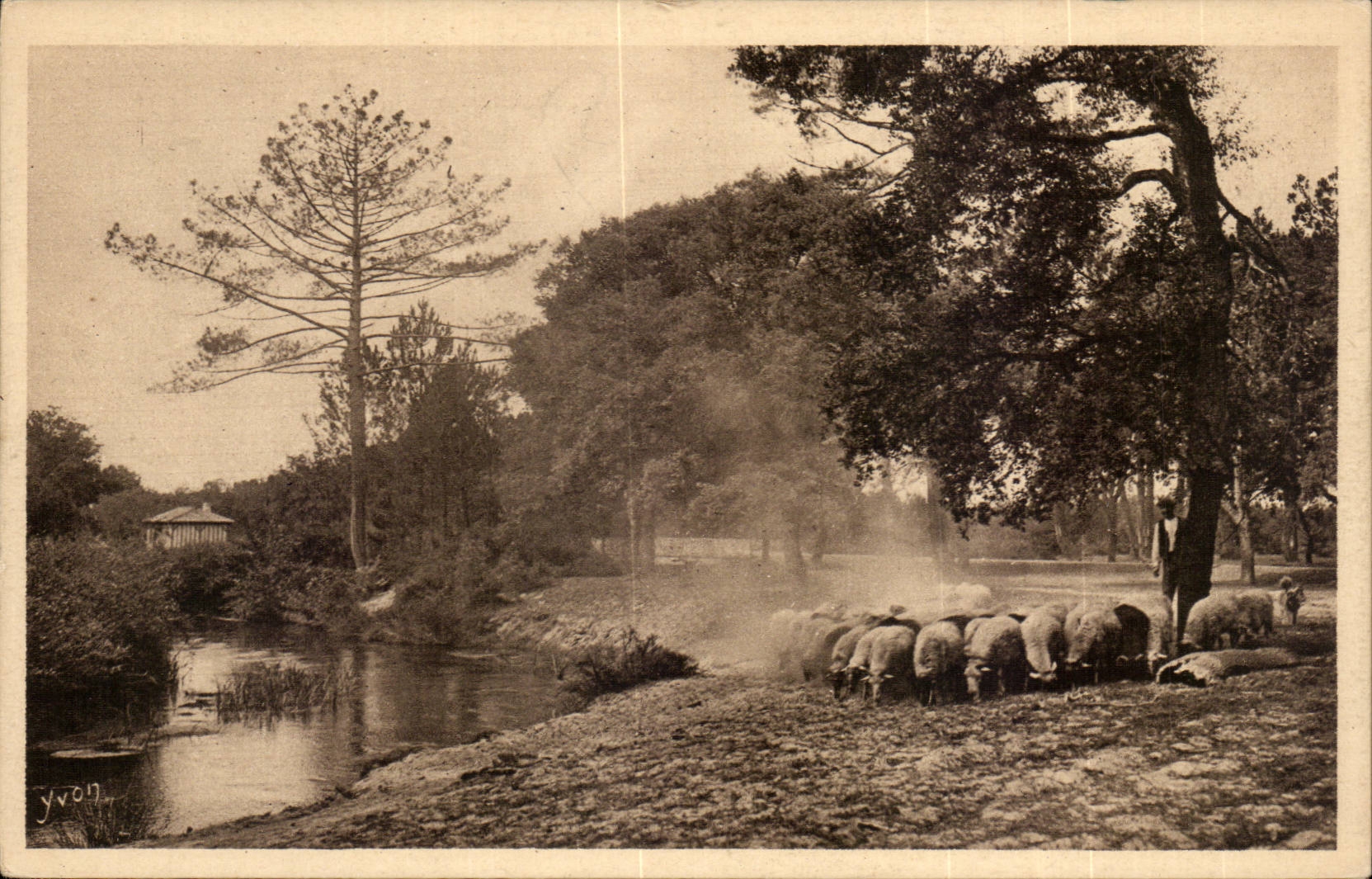 Moors of Gascogne CPA Departure of the herd towards the drill