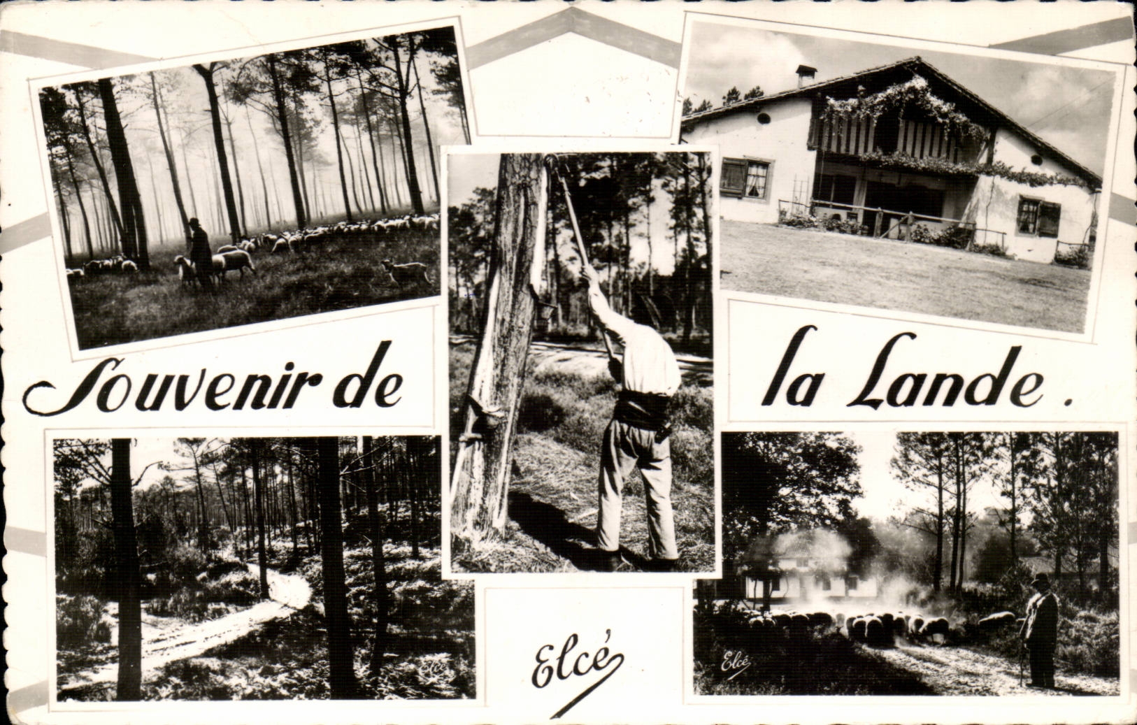 MODERN CARD Souvenir of the Moors