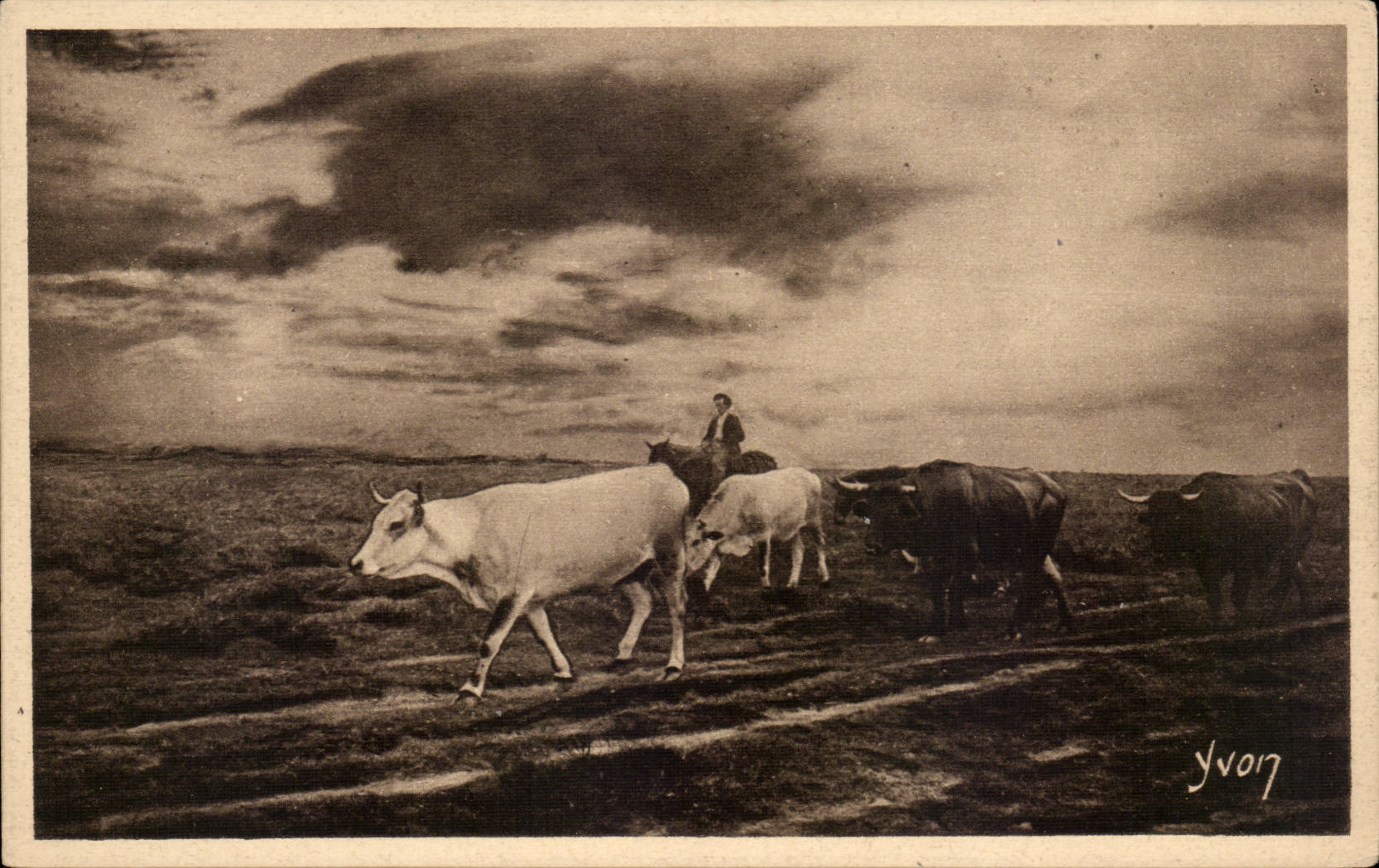 CPA Moors of Gascogne In close-cropped moor the return