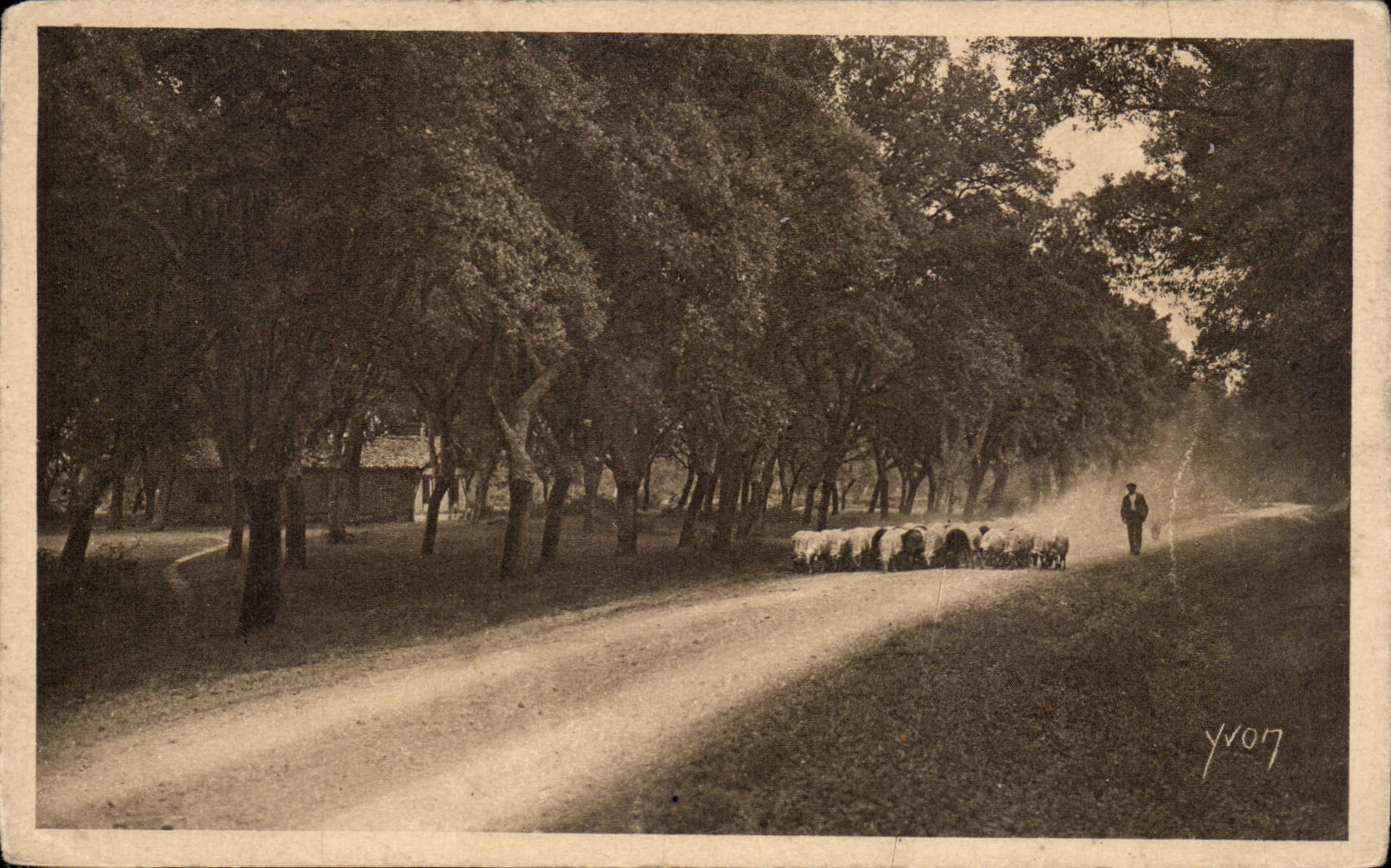 CPA Moors in Gascogne On the powdery roads