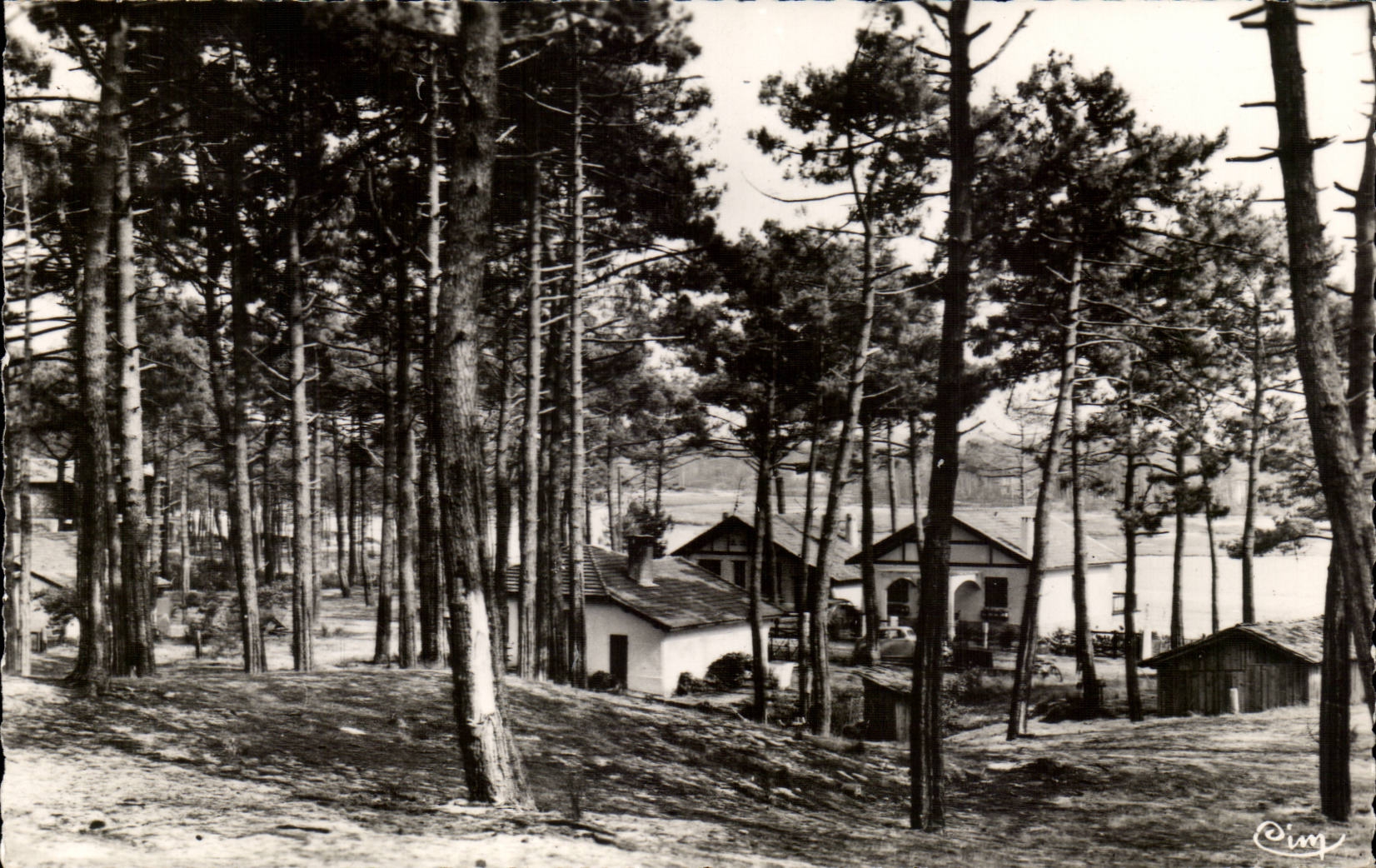 Mimizan les Bains MODERN CARD Park of winter