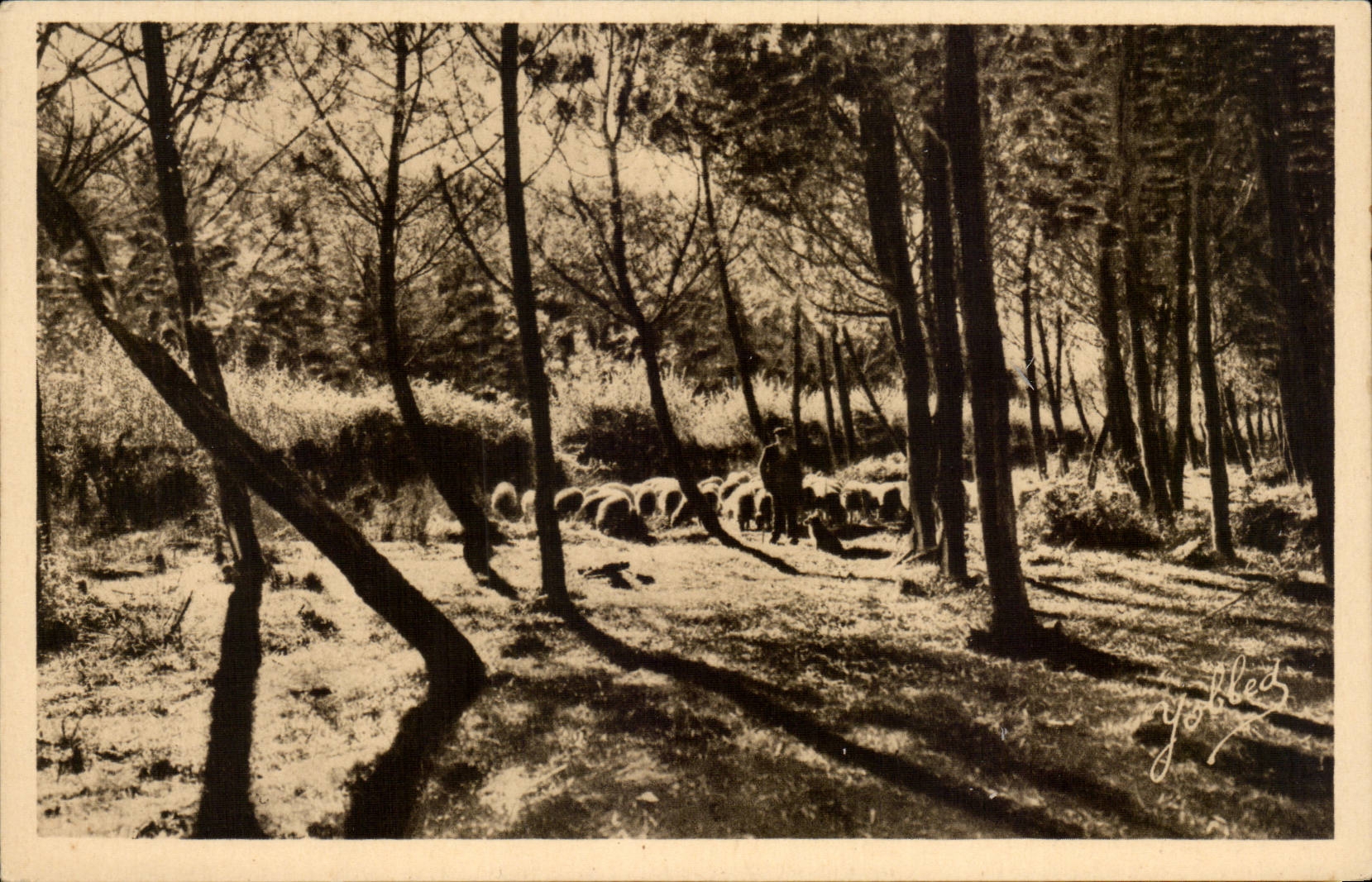 In the Moors of Gascogne CPA Landscape