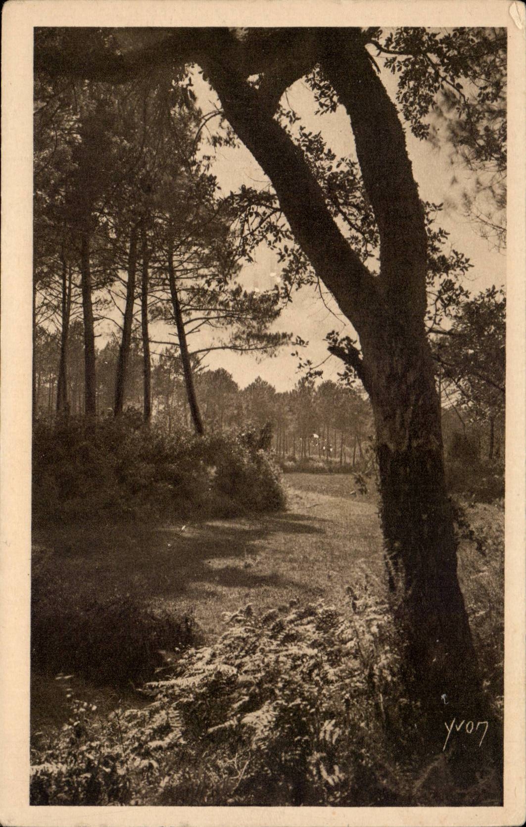 Macht Gascogne CPA Paysage von den landais fest