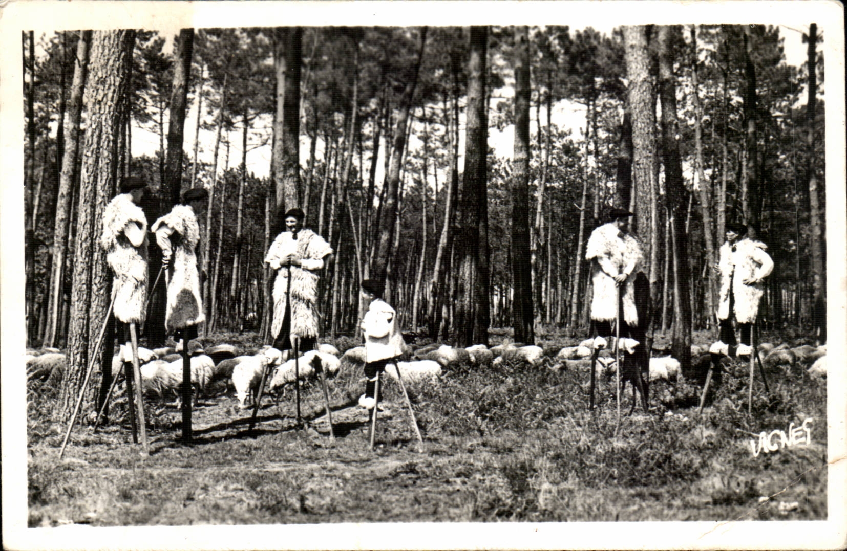 Mit der Land landas MODERNEN KARTE Retrospektive mit den Schaferhunden auf Stelzen