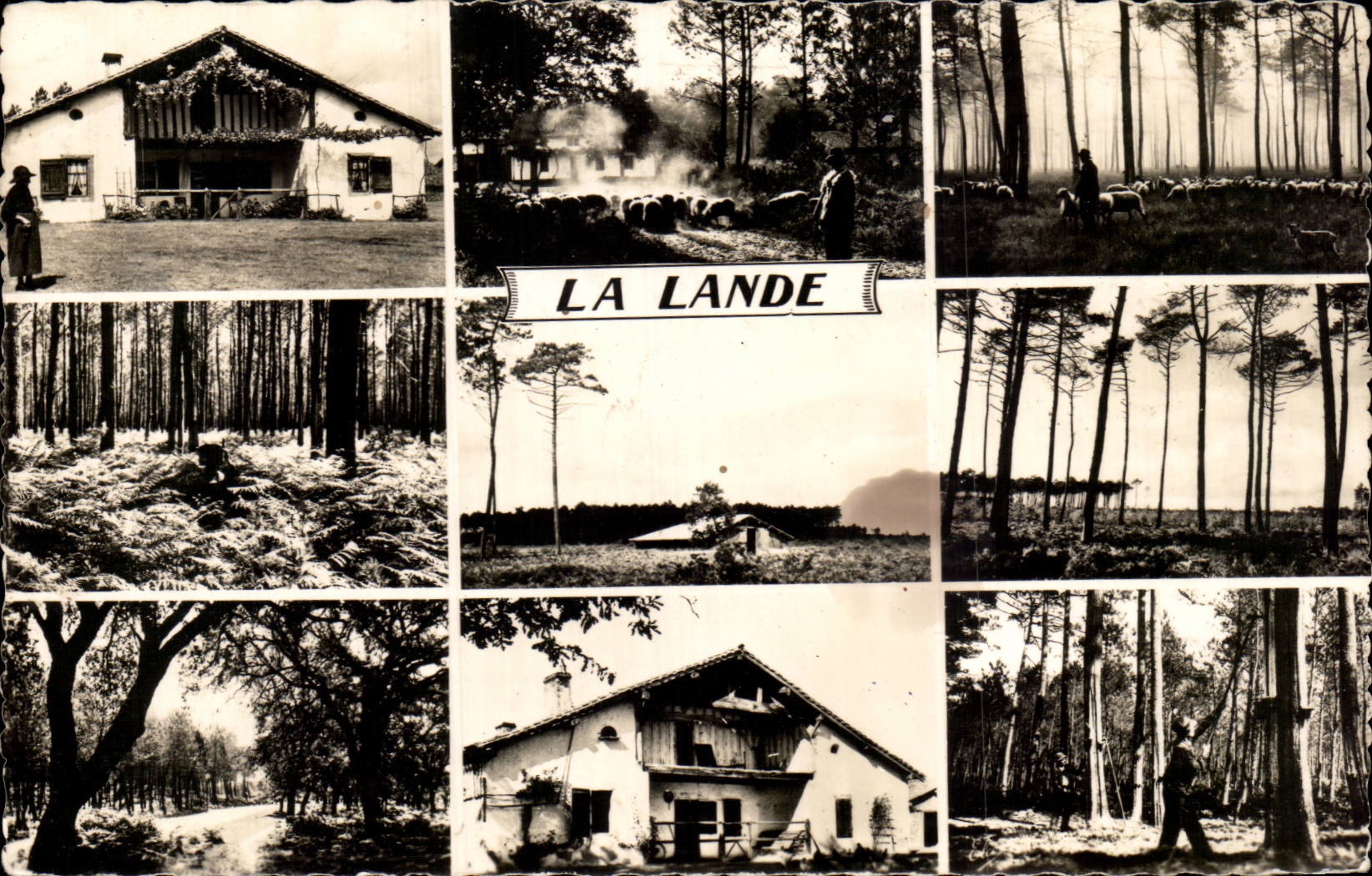 MODERN CARD the moor