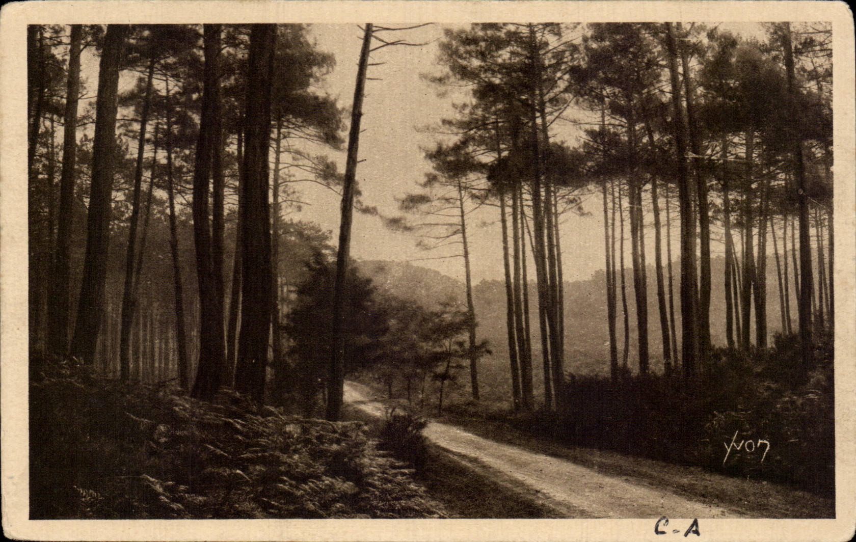 CPA Landes of Gascogne Route of Leon has Moliets