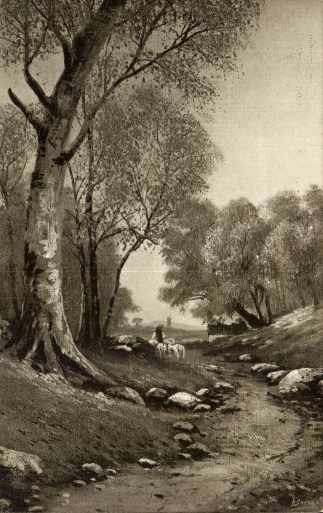 CPA Landscape Fantasy