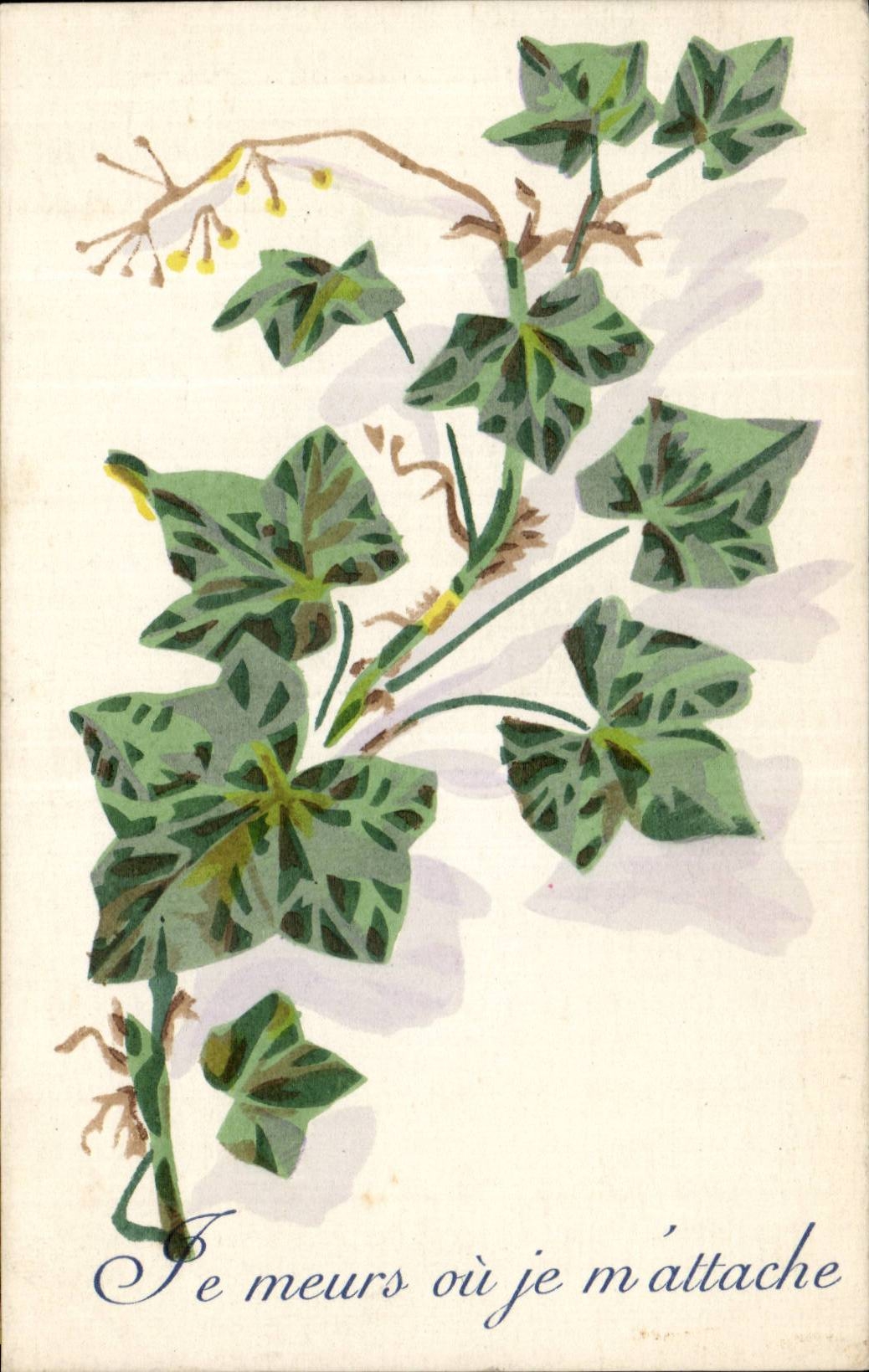 CPA Phantasie die ich sterbe oder ich hafte (Efeu)