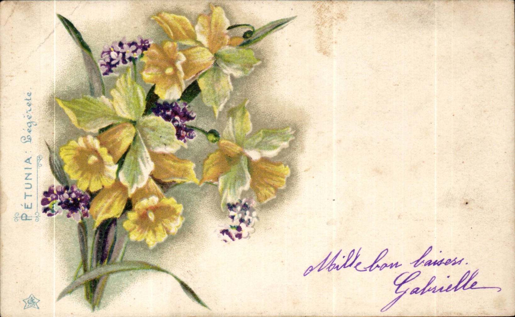 CPA Phantasie bluht Petunie-Leichtigkeit