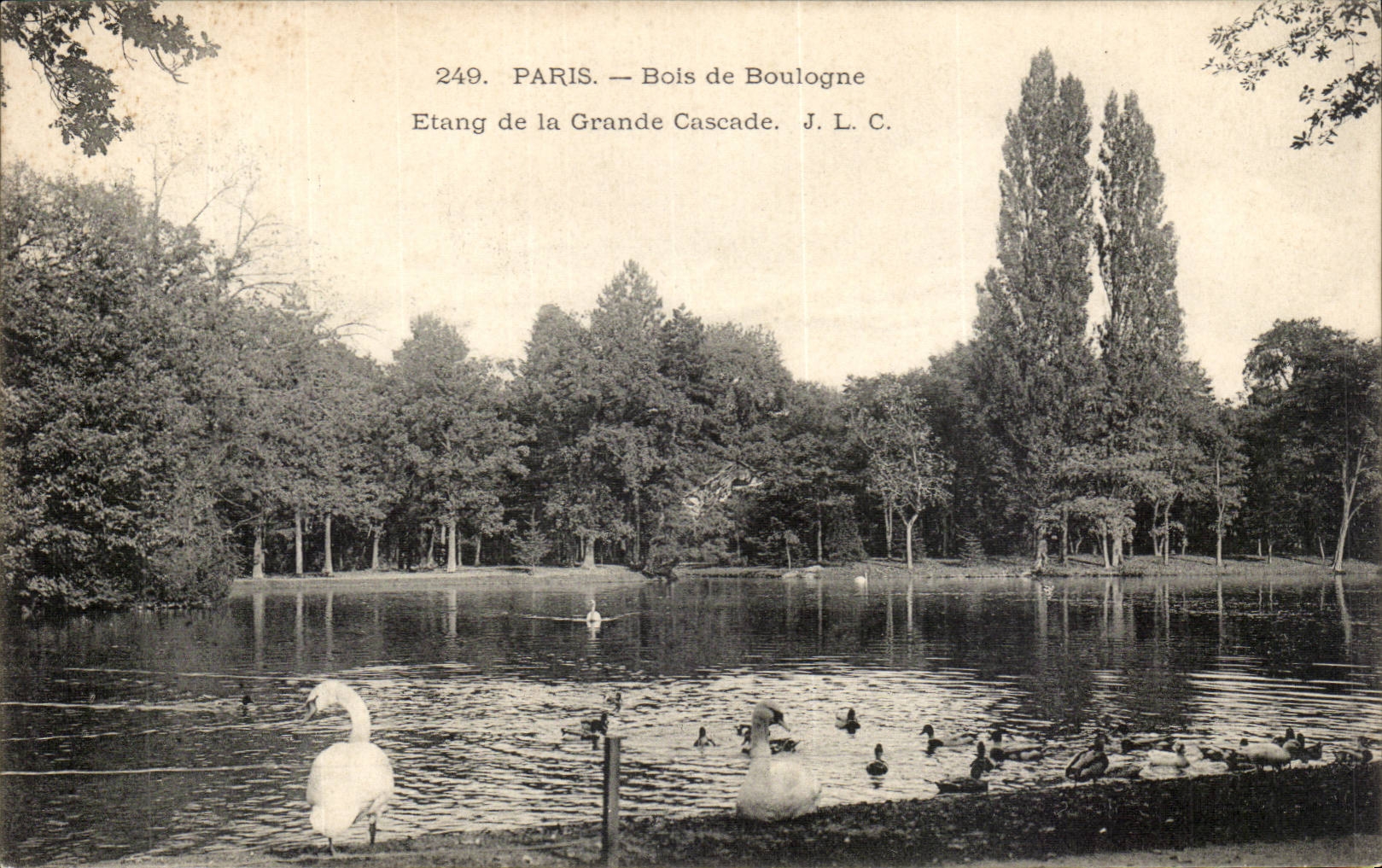 Paris CPA Bois de Boulogne Etang de la grande cascade