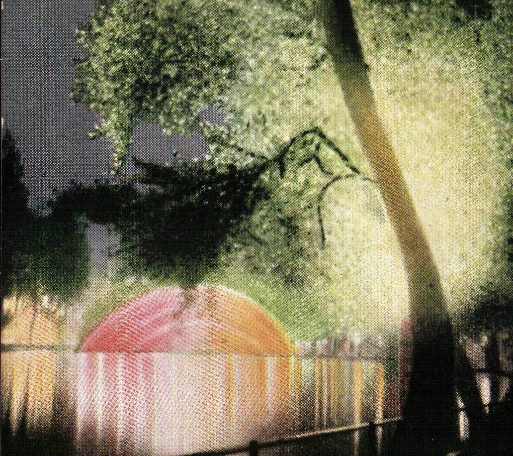 CPA Fantasy bridges of water Granet & expert