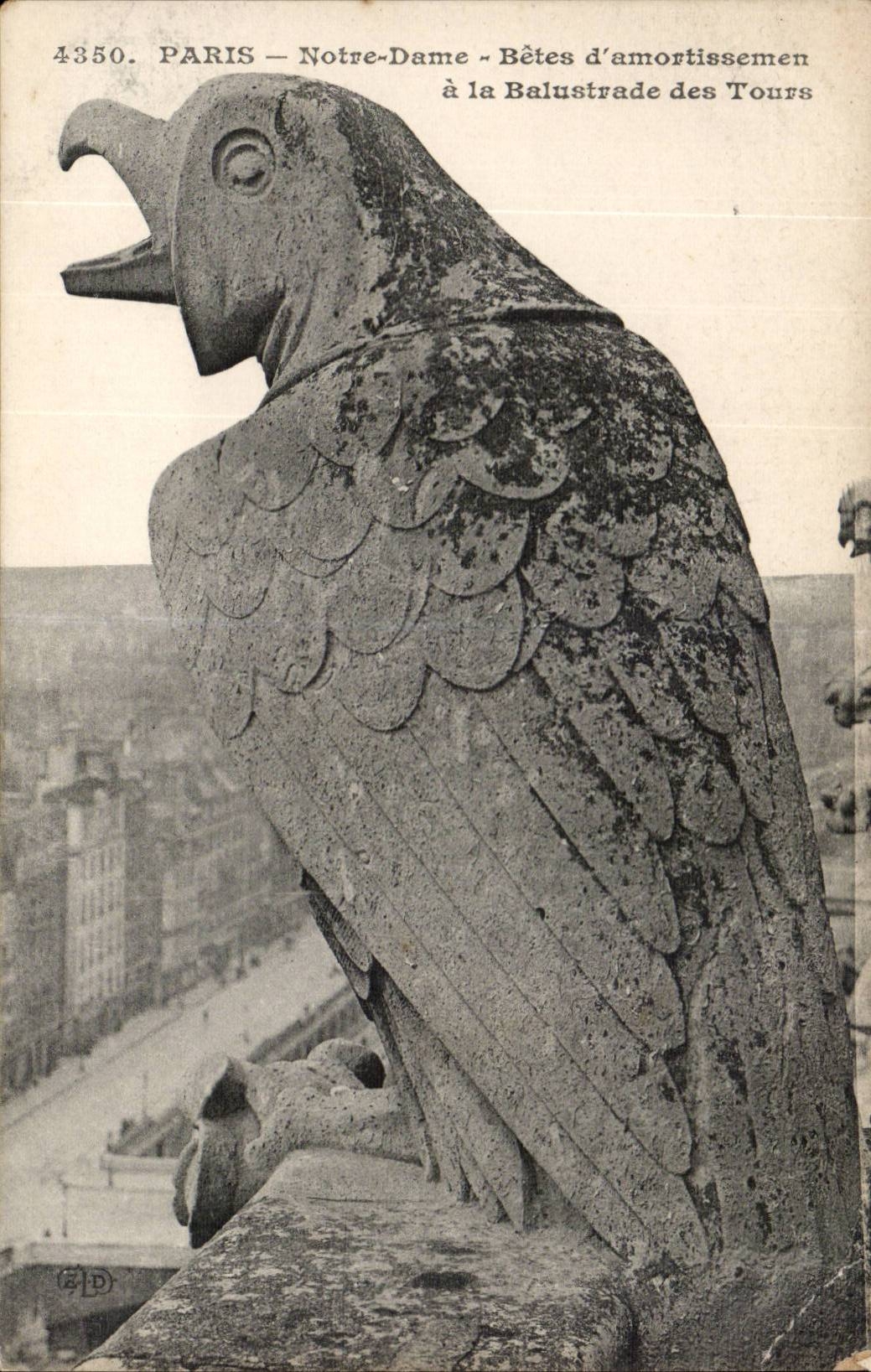 Paris CPA Our lady Animals of damping to the balustrade of the Tours