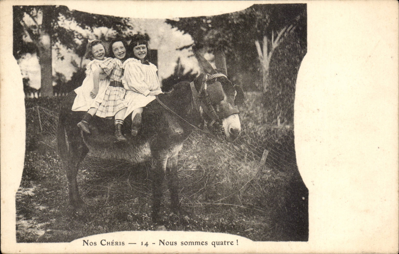 Fantasy - Children - Our Darlings - We summons 4 - pony CPA Ane donkey mule