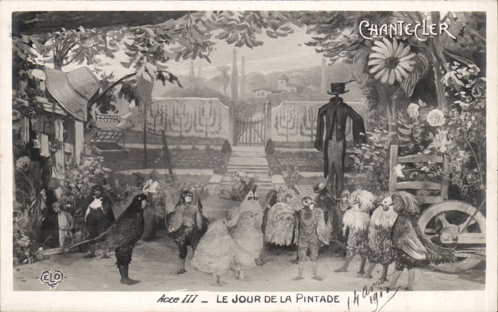 CPA Fantasy Chantecler Act III the day of guinea fowl