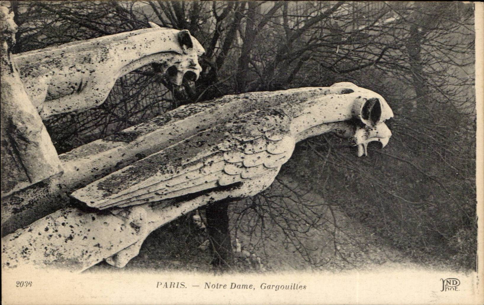 Paris CPA Notre Dame Gargouilles