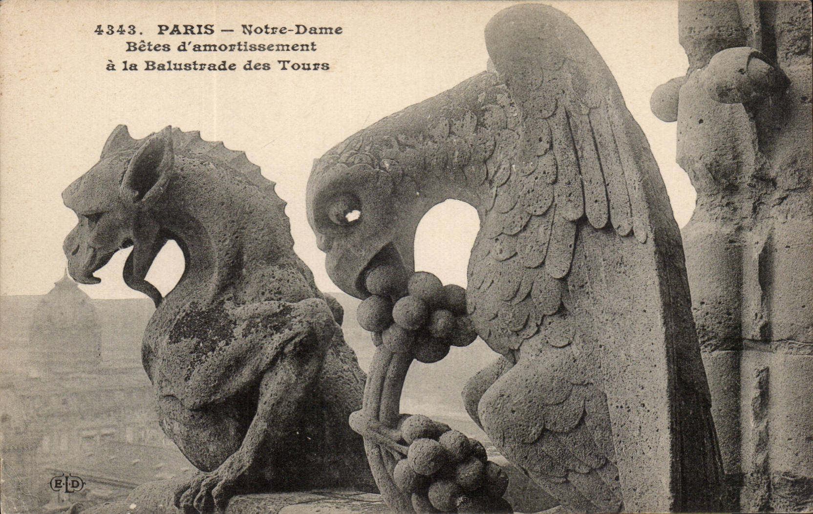 Paris CPA Notre Dame Bete d'amortissement a la balustrade des tours