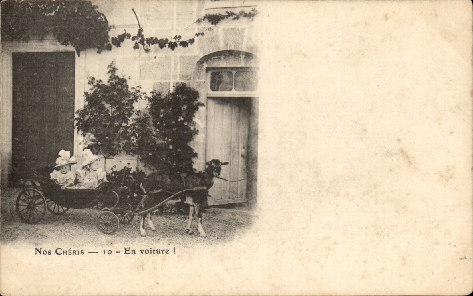 CPA Fantasy Children cars by a goat (goat)