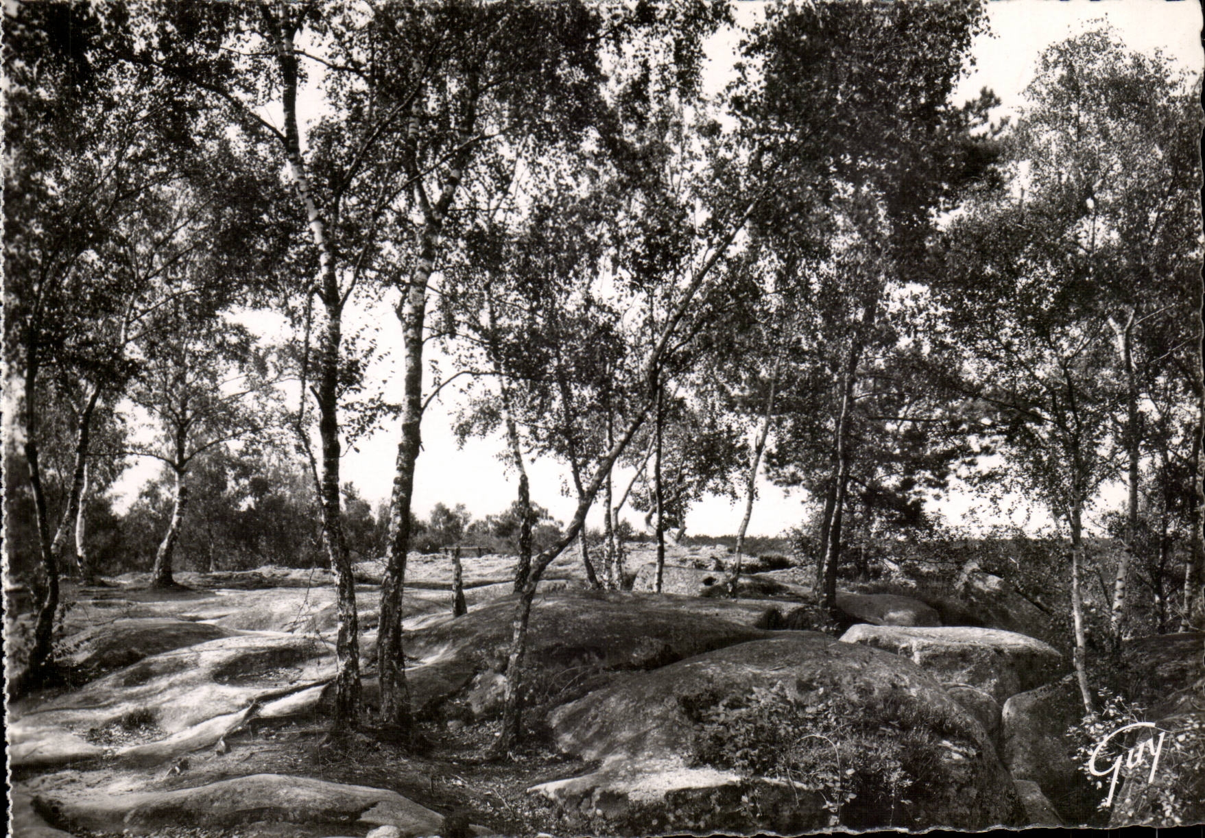 Fontaineableau MODERN CARD the drill has Franchard